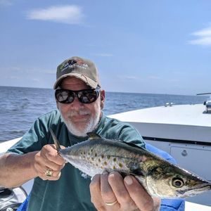 Meet your Posher, Glenn